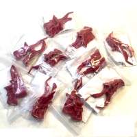 10x DC40 Pairs Cyclone Release Clips
